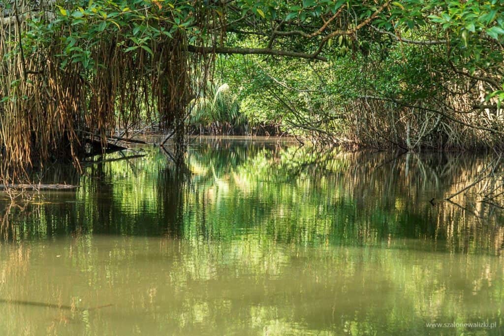 polskie noclegi na sri lance