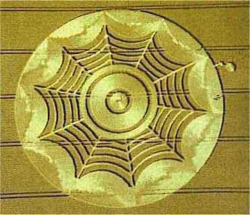 crop_circle47