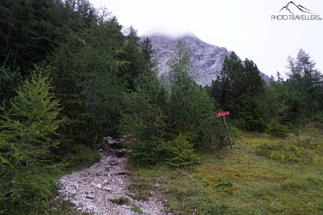 Ein kleiner Steig, der unterhalb des Zugspitzmassivs in den Wald führt