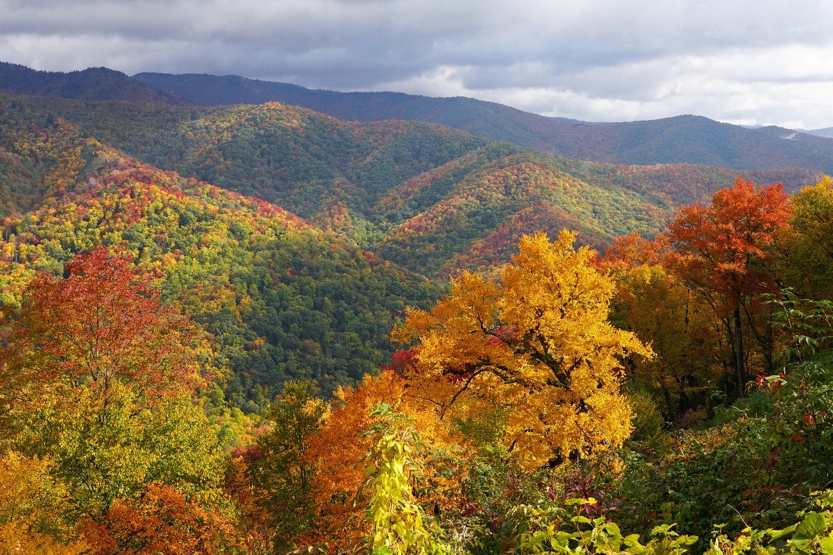 best national parks in the us