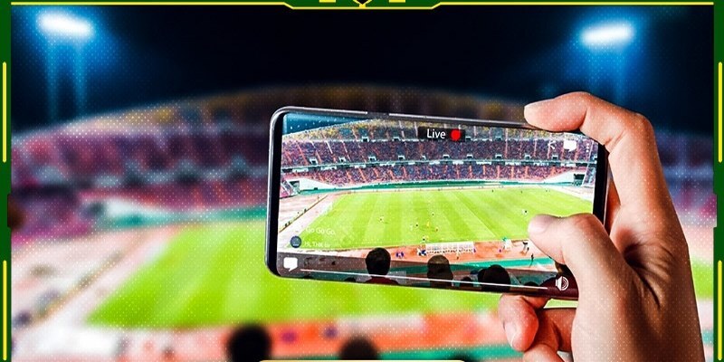 Khái quát chung nhất về kênh vạch vôi TV