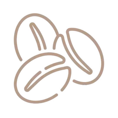 Premium Coffee Beans Icon