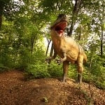 dino-parc-rasnov-lumea-dinozaurilor dino-parc-rasnov-lumea-dinozaurilor