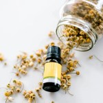 Dried German Chamomile flowers spill onto a white surface, with a 10ml bottle of German Chamomile 3% in Grapeseed Oil nestled among the petals.