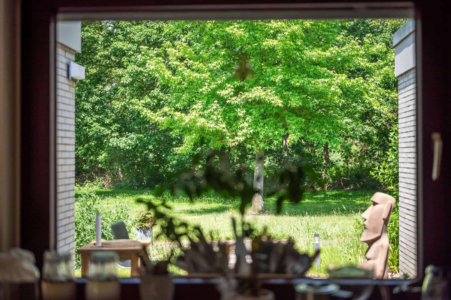 Garten vor dem Haus