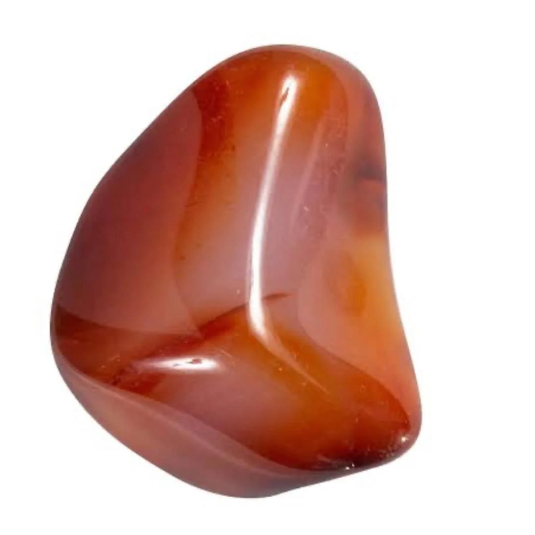 Welcome to Leo Season 10 carnleian