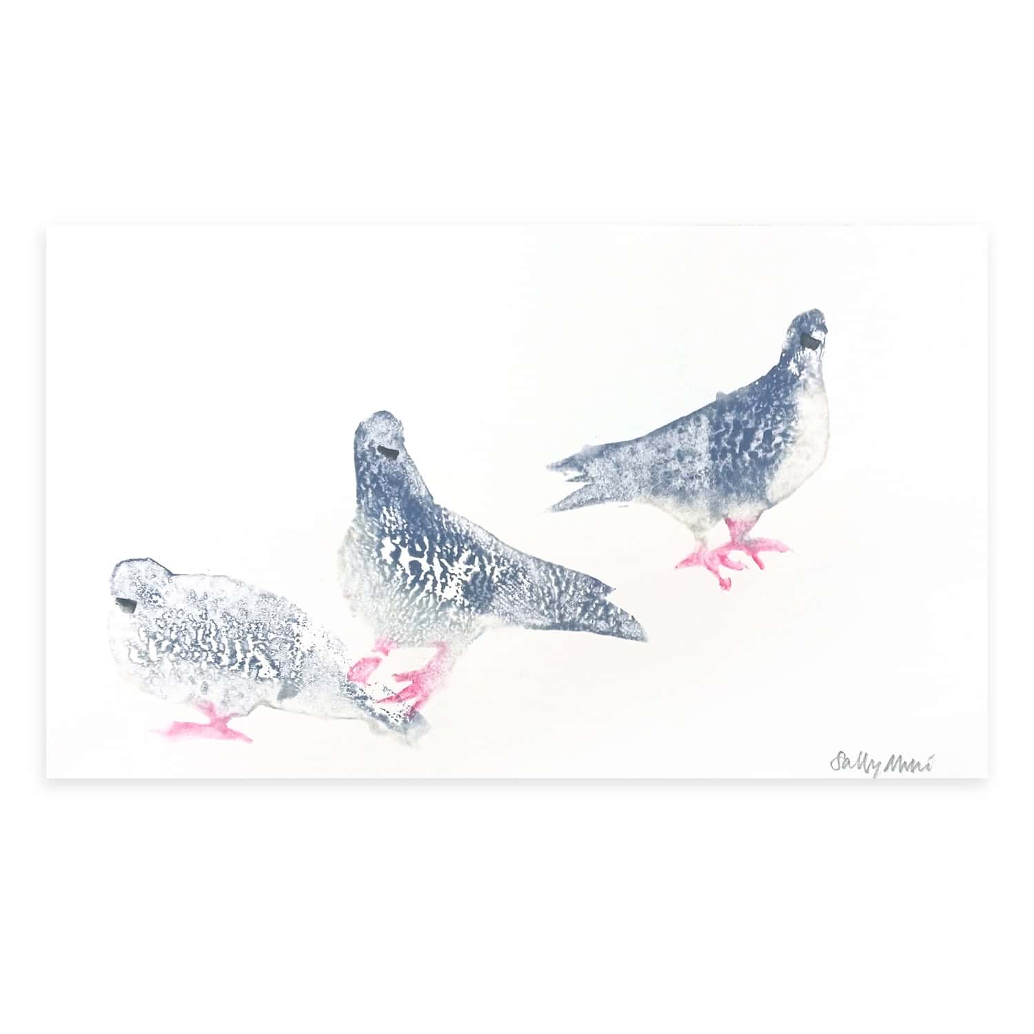 4713C Three Pigeons – Sally Muir