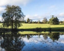 where to eat and drink campsite glamping yurts