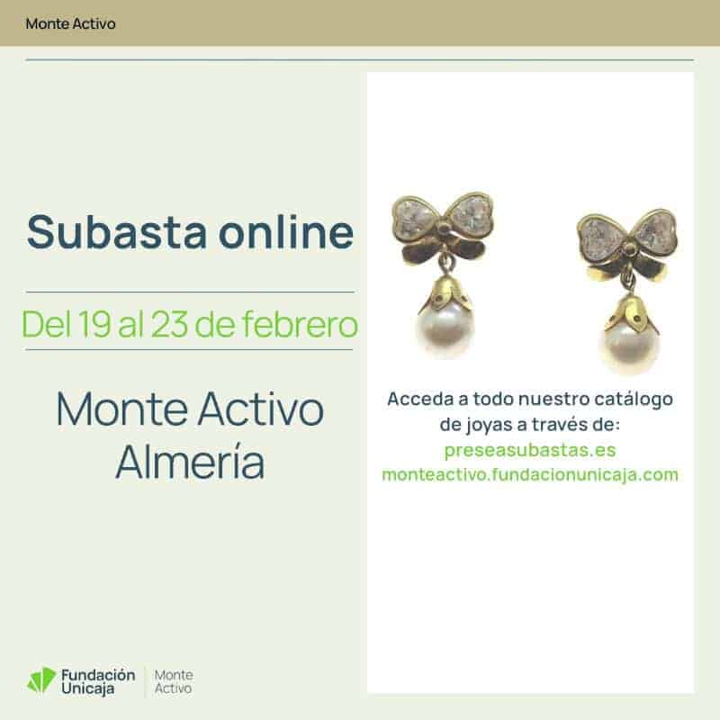 Monte Activo - Subastas febrero 2026 - Almería